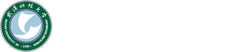 91一区二区